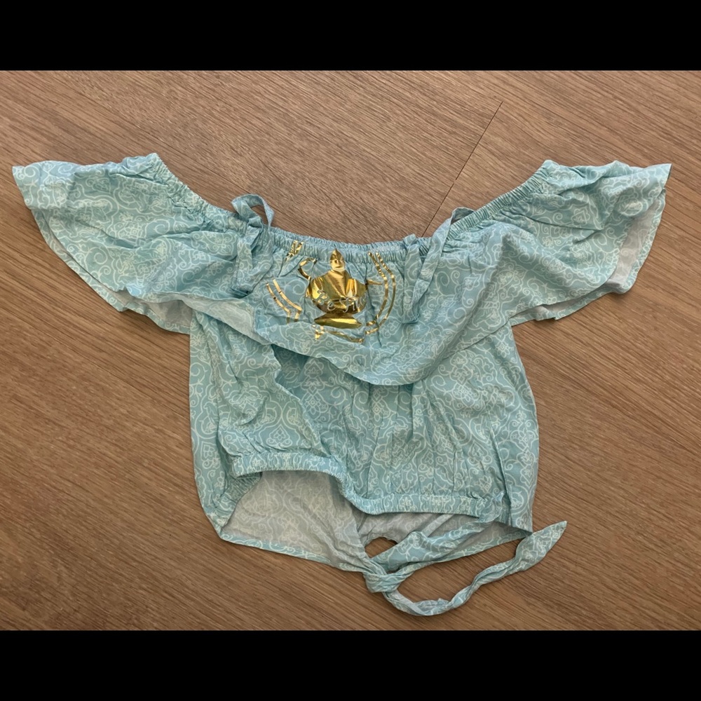 ❤️ SOLD ❤️ Princess Jasmine Crop top